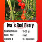 Iva´s Red Berry DER TOMATENFLÜSTERER