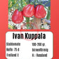 Ivan Kupala DER TOMATENFLÜSTERER