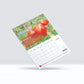 Jahreskalender 2024 - Around the World Edition DER TOMATENFLÜSTERER