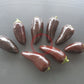 Jalapeno Azabache DER TOMATENFLÜSTERER