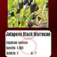 Jalapeno Black Marrocan DER TOMATENFLÜSTERER