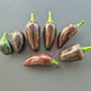 Jalapeno Black Marrocan DER TOMATENFLÜSTERER