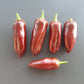 Jalapeno Brown DER TOMATENFLÜSTERER