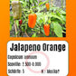 Jalapeno Orange DER TOMATENFLÜSTERER