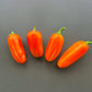 Jalapeno Orange DER TOMATENFLÜSTERER
