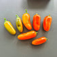 Jalapeno Orange DER TOMATENFLÜSTERER