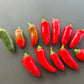 Jalapeno TAM DER TOMATENFLÜSTERER