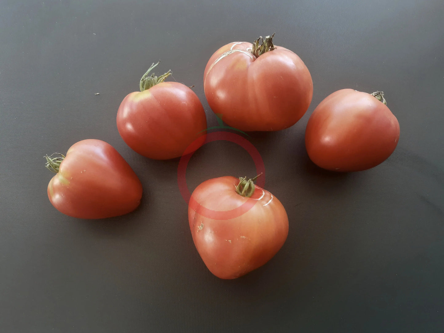 Japanisches Ochsenherz DER TOMATENFLÜSTERER