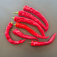 Jimmy Nardello´s DER TOMATENFLÜSTERER