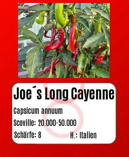 Joe´s Long Cayenne DER TOMATENFLÜSTERER