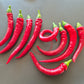 Joe´s Long Cayenne DER TOMATENFLÜSTERER