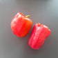 Jupiter DER TOMATENFLÜSTERER
