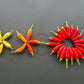 KS White Thai DER TOMATENFLÜSTERER