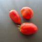 Kalman's Hungarian Pink DER TOMATENFLÜSTERER