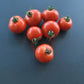 Kazabalikskiy Superranniy DER TOMATENFLÜSTERER