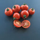 Kazabalikskiy Superranniy DER TOMATENFLÜSTERER