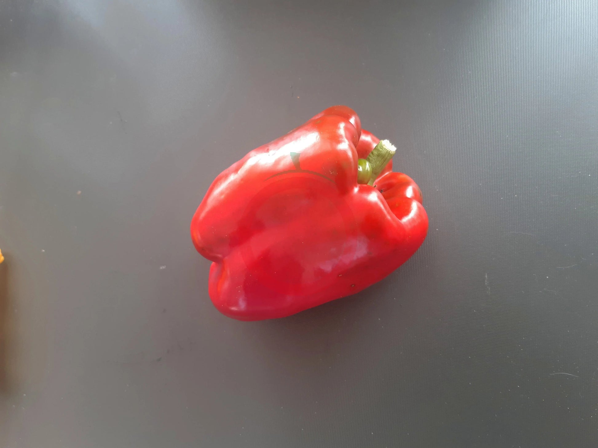 King of the North DER TOMATENFLÜSTERER
