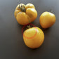 Korol Sibiri DER TOMATENFLÜSTERER