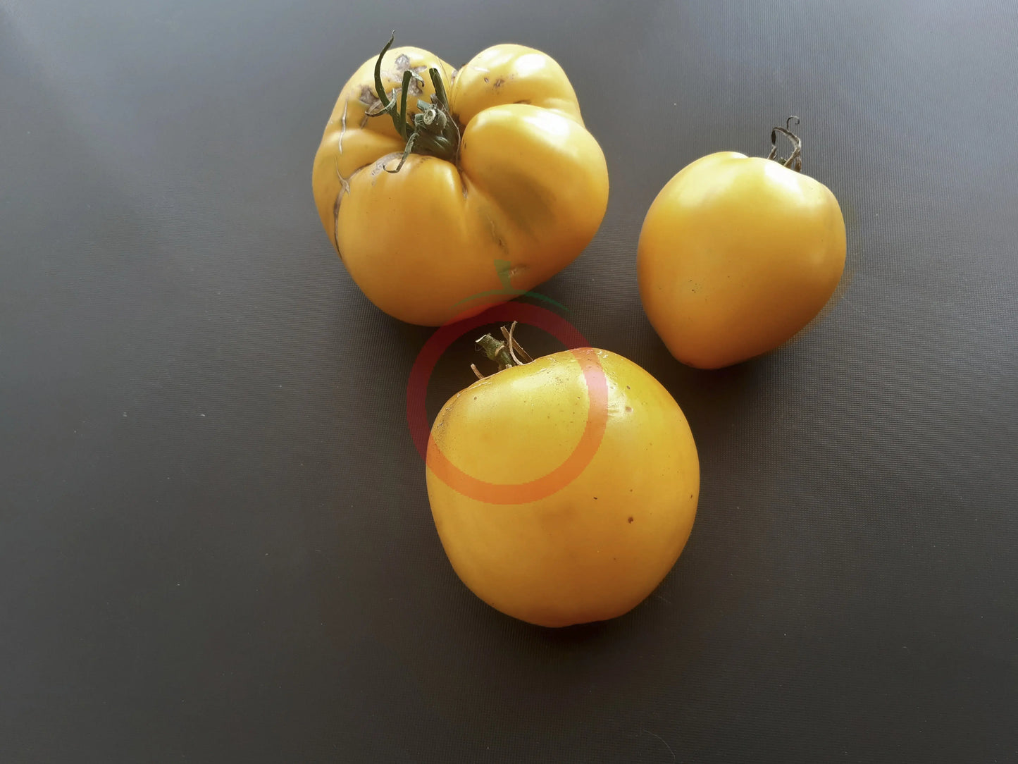 Korol Sibiri DER TOMATENFLÜSTERER
