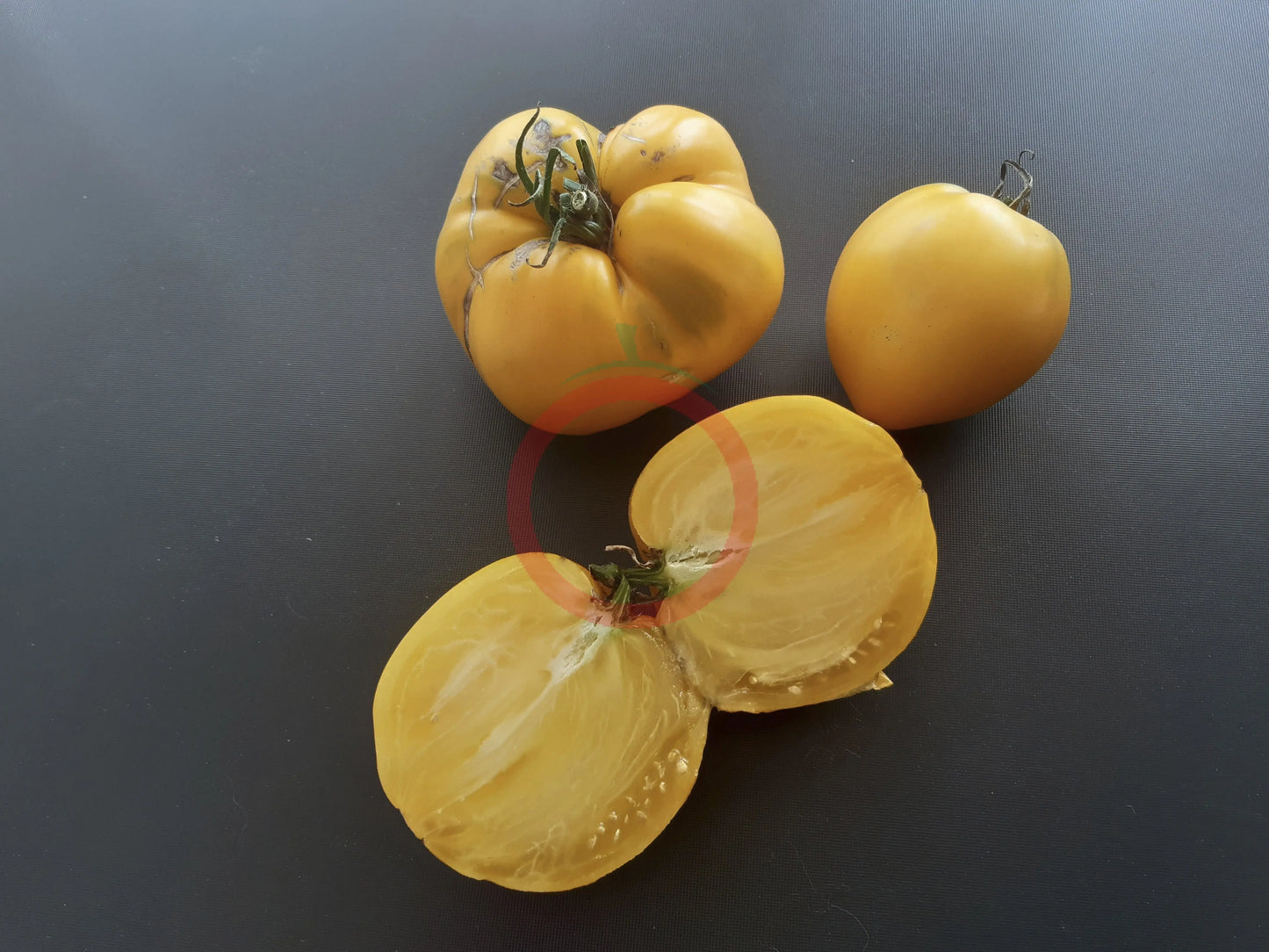Korol Sibiri DER TOMATENFLÜSTERER