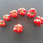 Korrogo DER TOMATENFLÜSTERER