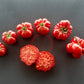 Korrogo DER TOMATENFLÜSTERER