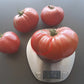 Kosovo DER TOMATENFLÜSTERER