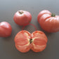 Kosovo DER TOMATENFLÜSTERER