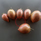 Kozula 130 DER TOMATENFLÜSTERER
