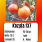 Kozula 137 DER TOMATENFLÜSTERER