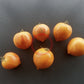 Kozula 137 DER TOMATENFLÜSTERER