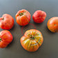 Kozula 138 DER TOMATENFLÜSTERER