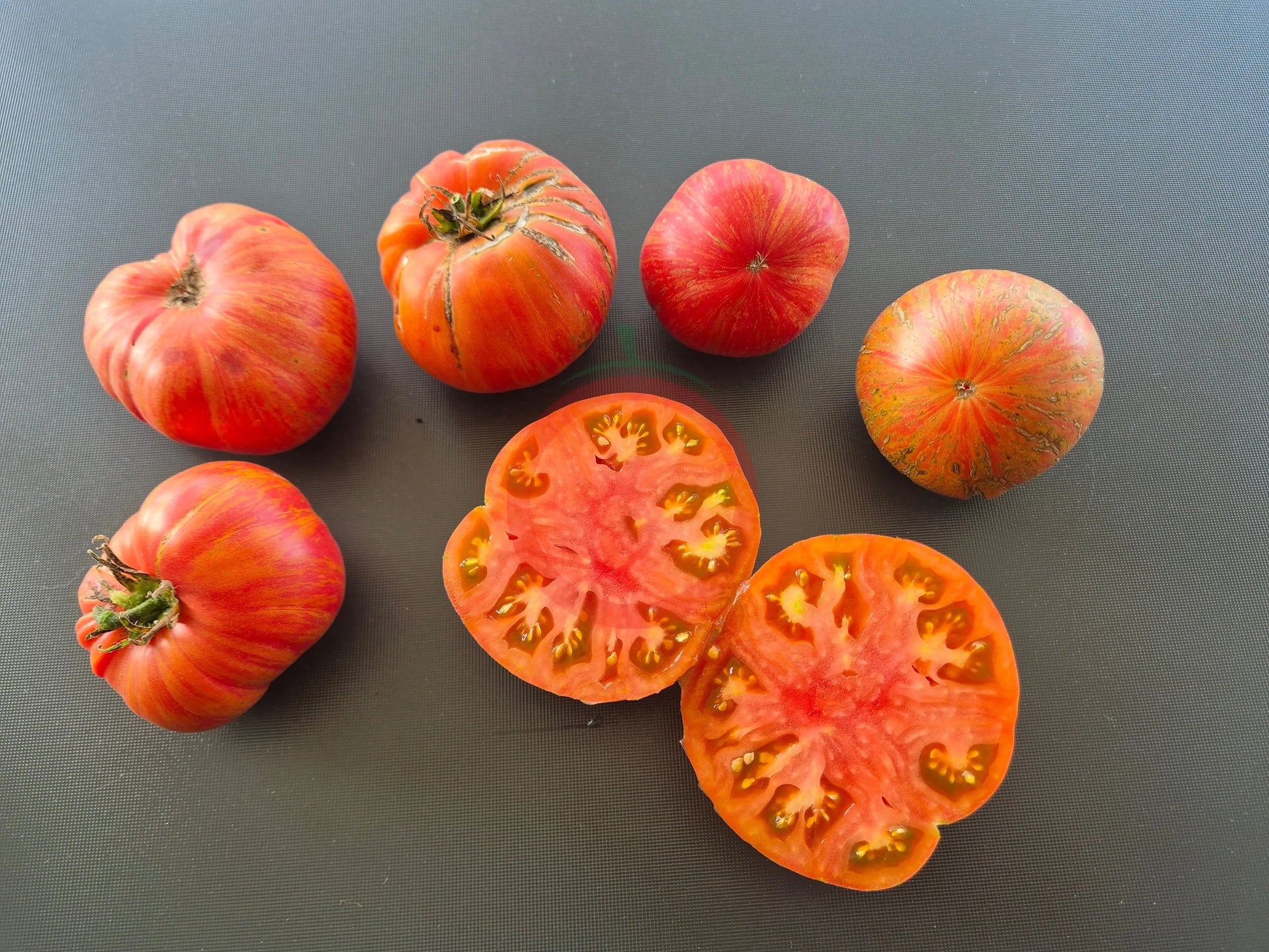 Kozula 138 DER TOMATENFLÜSTERER