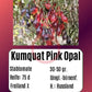 Kumquat Pink Opal DER TOMATENFLÜSTERER