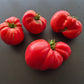 Kurtovo Konare DER TOMATENFLÜSTERER