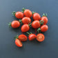 Ladybug DER TOMATENFLÜSTERER