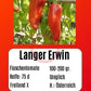 Langer Erwin DER TOMATENFLÜSTERER