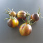 Large Brad´s Atomic Grape DER TOMATENFLÜSTERER