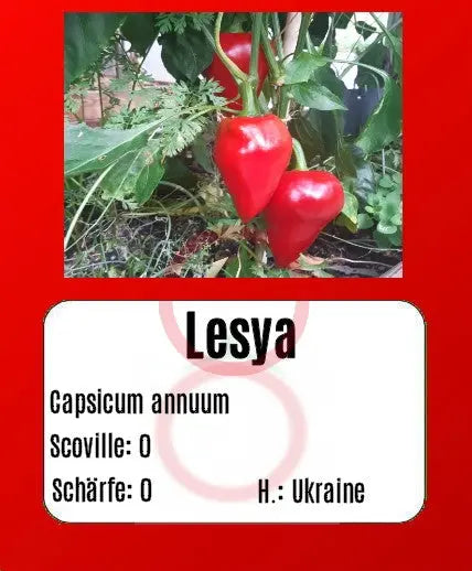 Lesya DER TOMATENFLÜSTERER