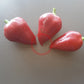 Lesya DER TOMATENFLÜSTERER