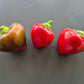 Lesya violett DER TOMATENFLÜSTERER
