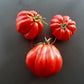 Liguria DER TOMATENFLÜSTERER