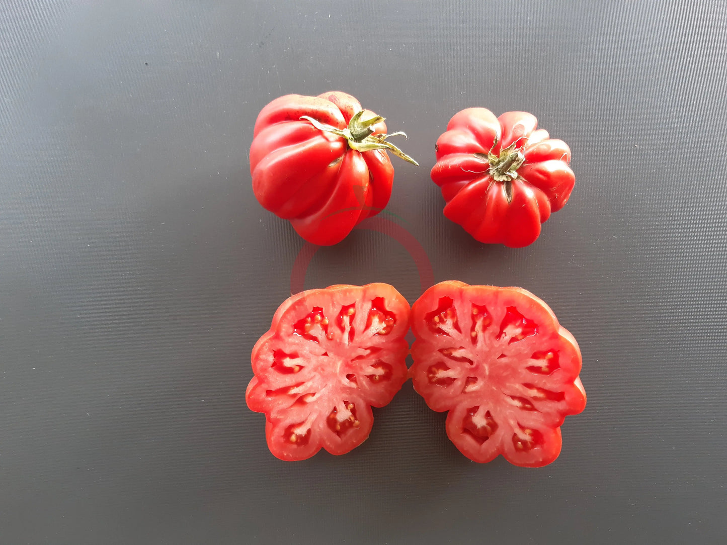 Liguria DER TOMATENFLÜSTERER