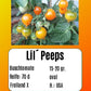 Lil’ Peeps DER TOMATENFLÜSTERER