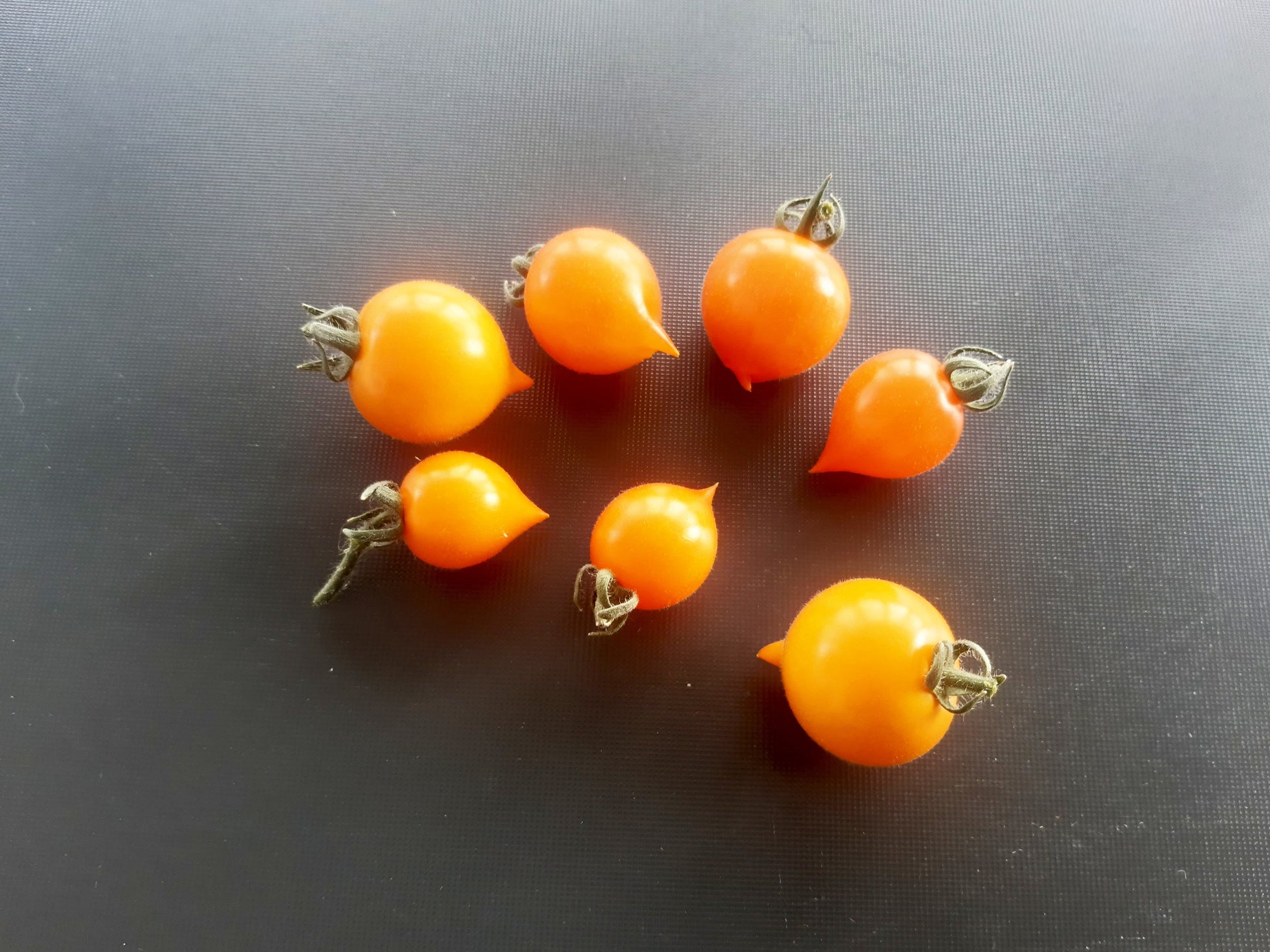 Lil’ Peeps DER TOMATENFLÜSTERER