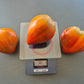 Linnaeus Heart DER TOMATENFLÜSTERER