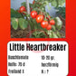 Little Heartbreaker DER TOMATENFLÜSTERER