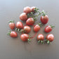 Little Purple Heart DER TOMATENFLÜSTERER