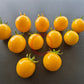 Livingston Gold Ball DER TOMATENFLÜSTERER