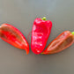 Ljubo's Palm DER TOMATENFLÜSTERER